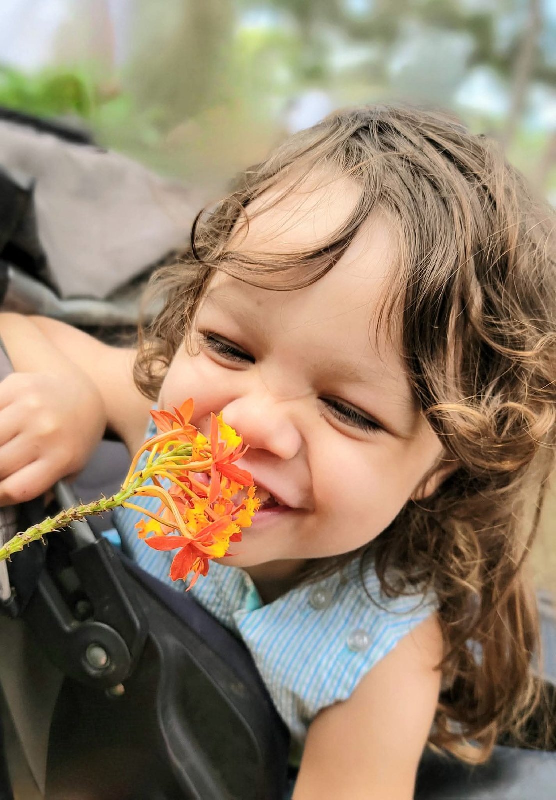 Toddler giggling while smelling an orange flower
